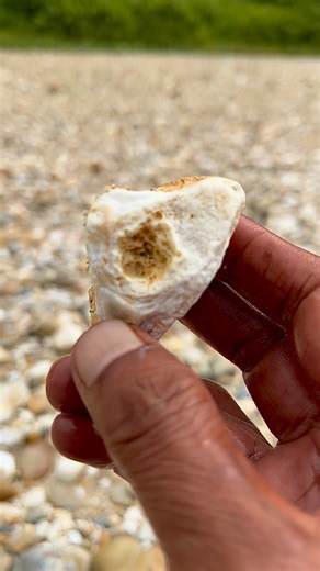 2.8K views · 24 reactions | Hunting for gemstones and unique stones at gold mining sites. #huntinggemstone #hunting #gemstone #uniquestones #goldmining | The GemsHunter | Facebook