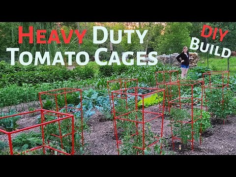 Heavy Duty Tomato Cages Build DIY