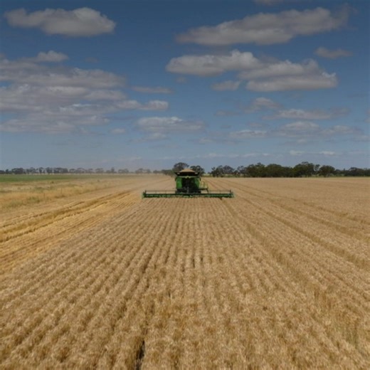 Keep your operation one step ahead. John Deere's combine and front-end equipment, precision automation technology, and real-time data, means you can make smarter decisions, automatically. Ask your local dealer today about how to make yours a smarter harvest. | John Deere