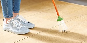 Aldi's £8.99 ethical spider catcher launches in time for autumn