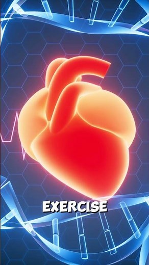 Understanding Resting Heart Rate, Maximum Heart Rate, and Target Heart Rate for Optimal Fitness