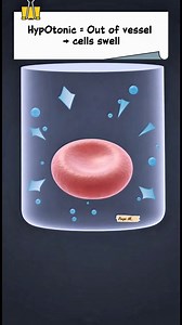 💧 Understanding IV Fluids Made Simple! Hypotonic → cells swell Isotonic → stays in balance Hypertonic → cells shrink Know when and why to use each fluid — because every drop counts! 💉💦 #IVFluids #MedicalLearning #Pharmacology #fblifestyle | Med G