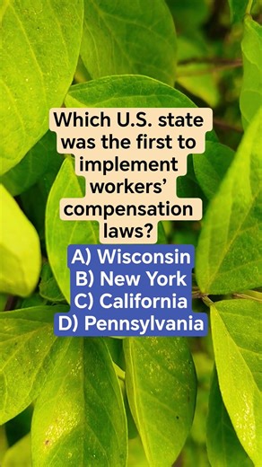 Which U.S. state was the first to implement workers’ compensation laws?