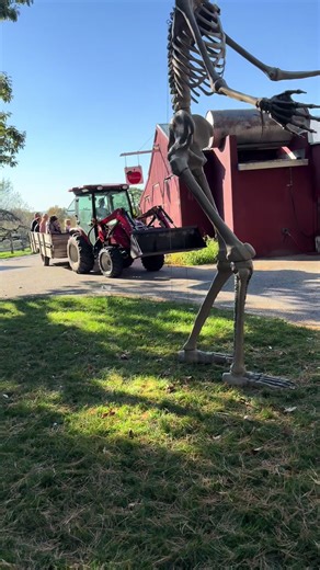 There’s just something about a tractor ride through the orchard 🍎 We’re so happy to have them up and running — it’s the best way to take in those fall views and make some family memories 🍁 Important Update: Tractor & hayrides will run SATURDAY ONLY this weekend, so plan your visit accordingly! #HickoryHillOrchard #CTFall #FamilyFun #TractorRides #ApplePicking