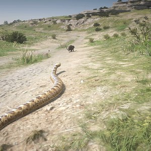 Rat Impossible escape from Snake | Kesari Gaming