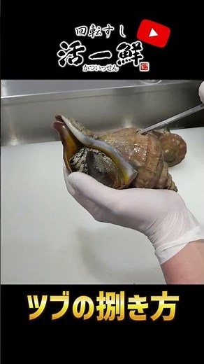 How to Prepare Whelk!! 2026 Edition #Sushi #Seafood
