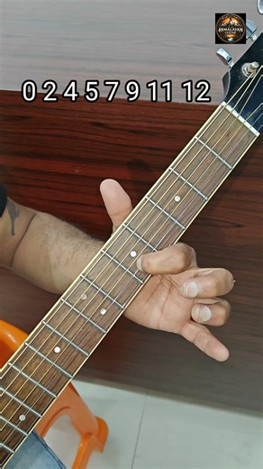 Bmajor Scale On 1 String Guitar Tutorial For Beginners |Beginners Guitar Lessons 🎸🎶🔥