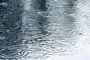 Sooke's weather forecast for November 16: Rainy day with cool temperatures - The Weather Network