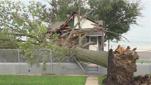 'Root of the problem': Expert addresses tree maintenance ahead of severe storms