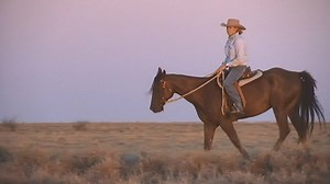 122K views · 961 reactions | Will any stock be left in the well known cattle and sheep producing country in outback Queensland? "We thought we had our backs to the wall 2 years ago and we've kept plugging away finding a way out the other side so I'm still optimistic" - PJ Elliot Corfield. | ABC Western Queensland | Facebook