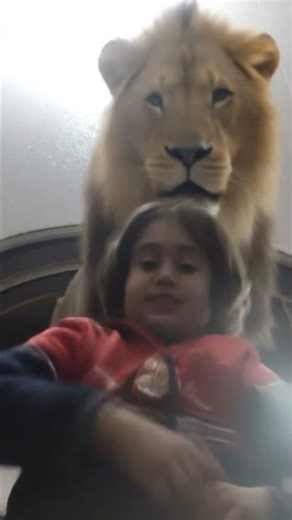 I am a rider provider