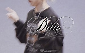 辉人的Ditto(去尖叫纯净版) 让狗爸我感动到泪流满面