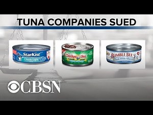 3 U.S. canned tuna companies sued for falsely labeling products as dolphin-safe