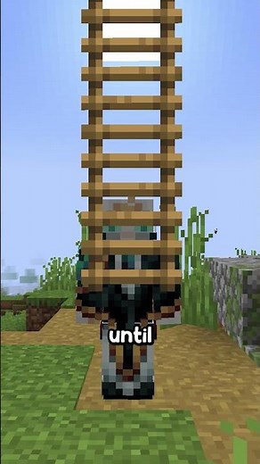 you’ve using ladders wrong in minecraft