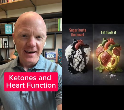 16K views · 387 reactions | Dr. Ben Bikman delves into compelling new evidence that β-hydroxybutyrate (BHB) — a primary ketone body — offers direct cardiovascular benefits, supporting healthier arterial function, reduced vascular resistance, and enhanced heart contractility. 變 Dr. Bikman #bhb #hearthealth #cardiovascular | HealingwithMeat | Facebook