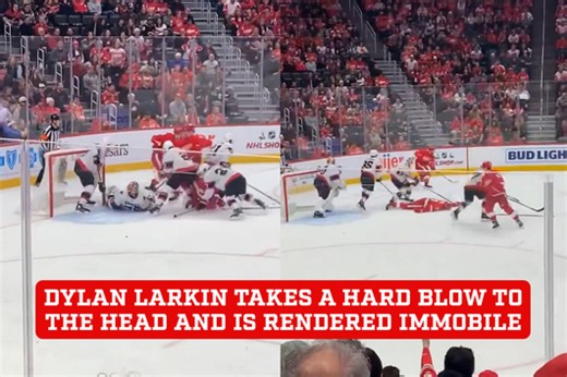 Red Wings' Dylan Larkin takes a hard blow to the head and is rendered immobile