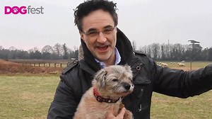 Join The Supervet at DogFest South for the ultimate family day with your dog 🐶 | DogFest