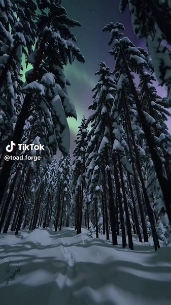 Відео користувача Toad Forge | NATURE (@toad.forge) з композицією «原聲 - BELL FILM»