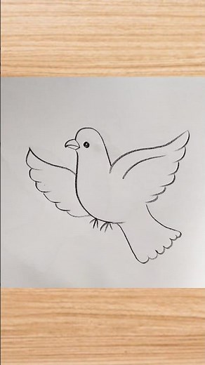 how to draw flying bird drawing easy step by step