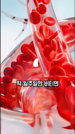 0원으로 내 몸속 공장초기화 하는법