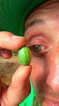 Top 5 Smallest Fruits