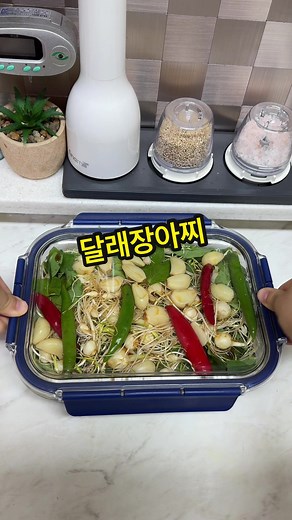 달래장아찌: 한국 전통 음식의 매력