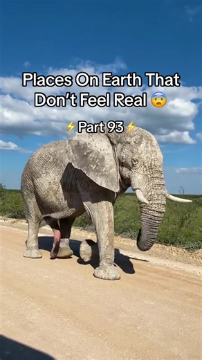 These places feel unreal 😨 You must travel here with your best friends 🤩 #nature #adventure #travel #explore #foryoupage