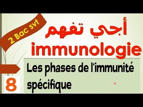 immunologie 2 bac svt ep 8 : les phase de l'immunité spécifique