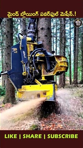 Feller Buncher – The Monster Tree Cutting Machine! 🌳🚜 #youtubeshorts #ytshorts #viral