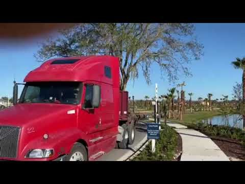 Massive Live Oak Tree in Transit for Transplantation #transplants #liveoak
