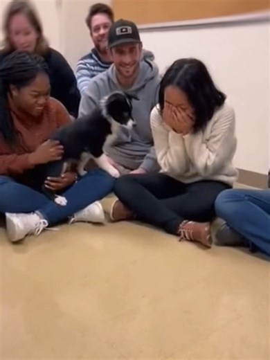 Puppy Knew Exactly Who Was His | Adorable Pet Moment