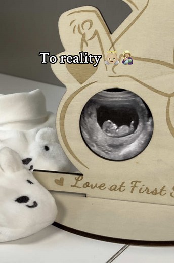 Pregnancy Journey: From Concept to Reality