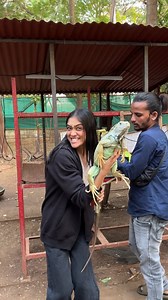 624K views · 22K reactions | Marine Aqua Zoo || Exotic Animals #marineaquazoo #animals | Shweta Ray | Facebook