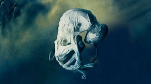 An Alien ‘Embryo’ Grows Into a Body-Horror Nightmare This April [Trailer]