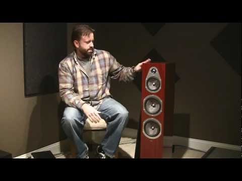 Energy Veritas Speaker Review