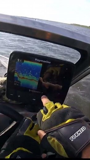 Raymarine Dragonfly 7 PRO | ОБЗОР ЭХОЛОТА #SHORTS