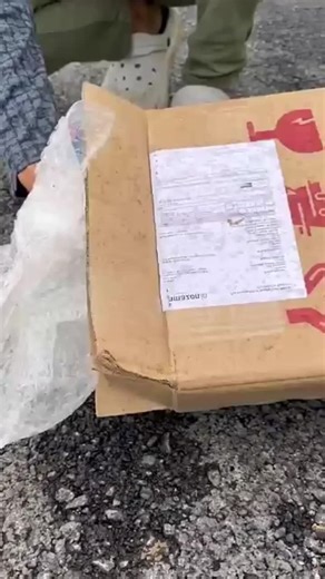 New unboxing remote control parrot 🦜🦜#foryoupage #tiktok #viral #😍🥰🥰🥰🥰