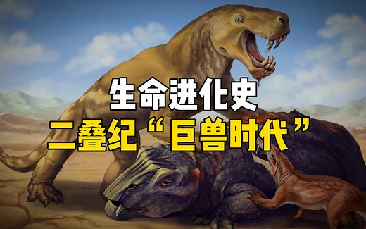 【生命进化史-07】二叠纪，古生代最后的时光，地球变成炼狱