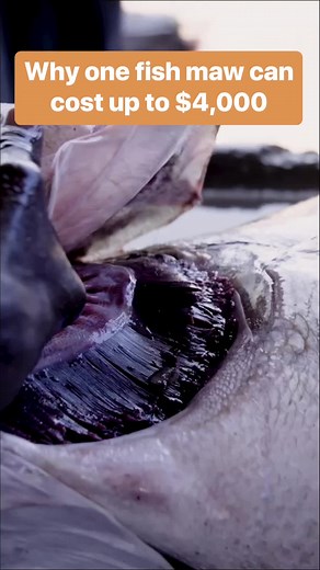 Business Insider (@businessinsider)’s videos with original sound - Business Insider