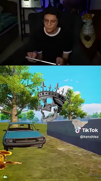 Understanding Enemy View in PUBG Mobile Gameplay