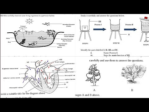 All Integrated Science PRACTICAL Questions for WASSCE and NOVDEC Candidates