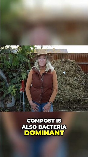 Compost Secrets: Bacteria Power Fuels Plant Growth!