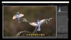从入门到精通:Lightroom技术助我摄影之路越走越宽_哔哩哔哩_bilibili