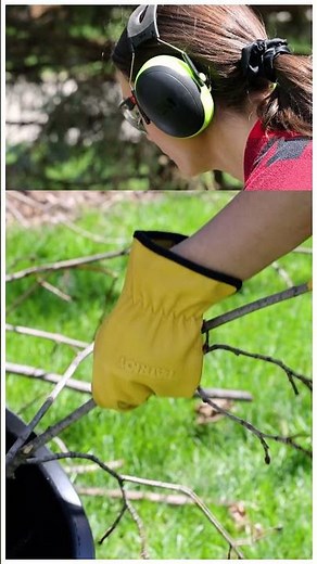 Patriot Electric Wood Chipper Chipping Pruned Branches