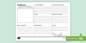 Rainforests Leaflet Writing Template