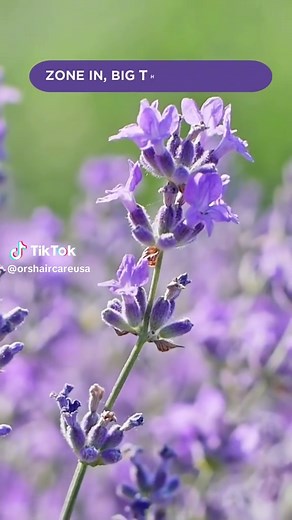 Something big is coming to take your braid game to the next level. ✨ Whether you’re fierce, flirty, or bold, we’ve got the ultimate care for every braided style. 👀 Stay tuned, because we’re just getting started. 💯 #NewLaunch #BraidsOnPoint #ProtectiveStyleCare