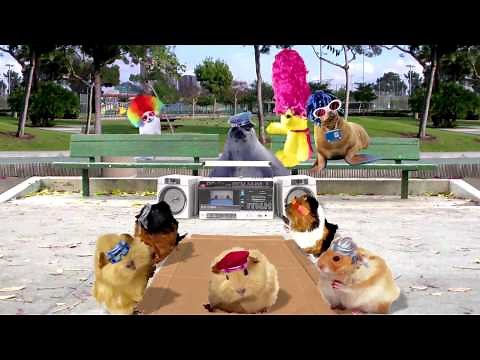 RADIO DISNEY "RD DOGZ" :90