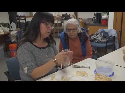 Learn Spruce-Root Weaving 1: Starting a Basket