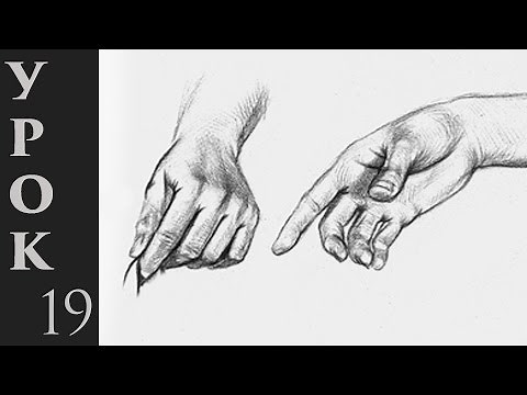 How to draw human hands.