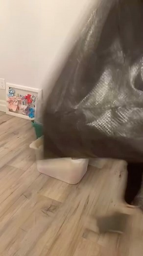 21K views · 57 reactions | Comment DECLUTTER below to learn more...